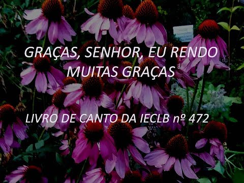 Graças, Senhor, eu rendo muitas graças - LIVRO DE CANTO nº 472