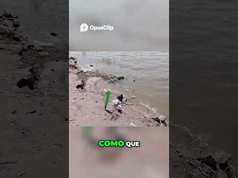 Pescando en el río! Mira lo que pasó con los peces!