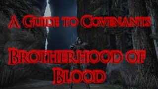 Dark Souls 2 - A Guide to Covenants: Brotherhood of Blood