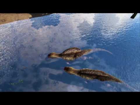 Jurassic Park Build on ISO Crystal Isles [Ark Survival Evolved]