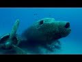 Shell Ocean Discovery XPRIZE Get To Know Our Finalists