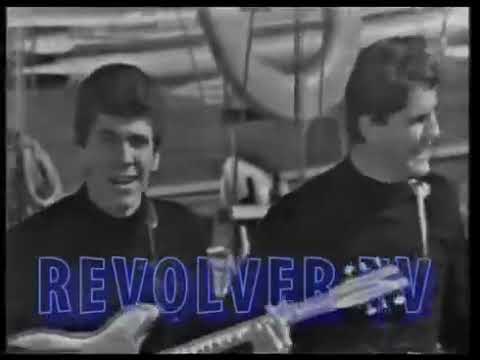 The Knickerbockers  "Fun Fun Fun" Where The Action Is! 1966 {RE-UPLOAD}