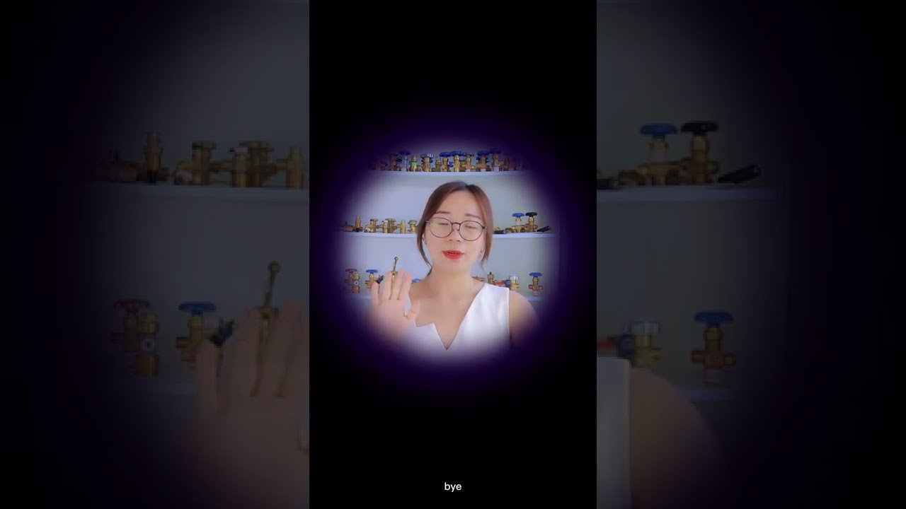 FUHUA Factory SiAN Brand High Pressure CO2 Soda Maker Cylinder Valve