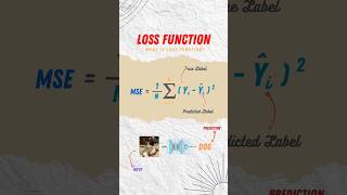 What is Loss Function. #ml #dl #ai #cs #computervision #maths #physics #study #meme #csmemes #meme