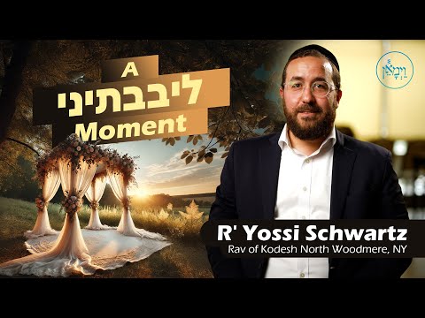 A ליבבתיני Moment | Rabbi Yossi Schwartz