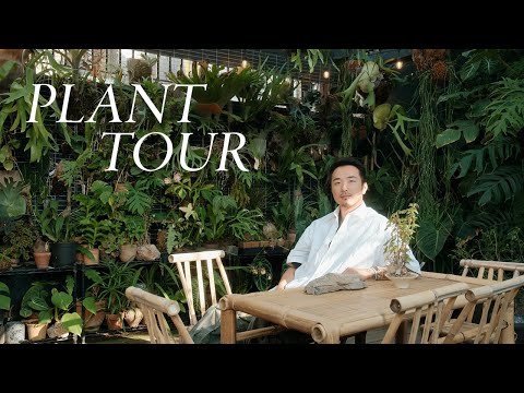 Inside JiaHao’s Plant-filled Home | Curious objects & animals