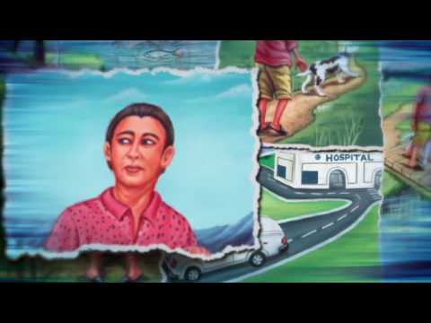 Next Big Thing | Narrated by Zach Galifianakis, Written by Gibby Haynes | SFWAM