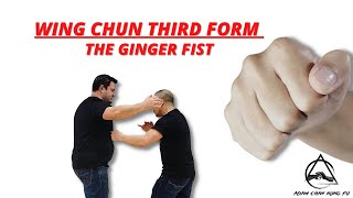 Wing Chun - Third Form - How To Use the Ginger Fist - Kung Fu Report #220