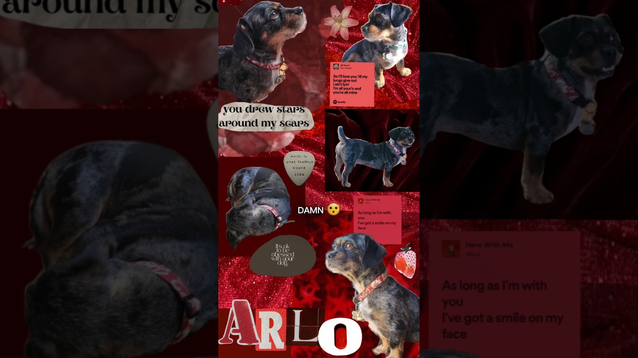 I make all kinds of custom wallpapers that you can order for only $5! Etsy shop link in my bio!! 🤩