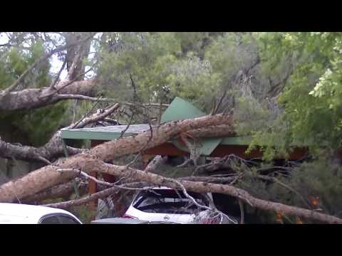 Winterhaven Tree Killing Home Damaging Severe Wind Storm