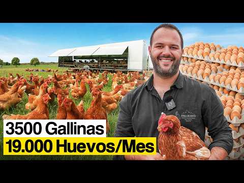 This Is the Egg Business Worth It?