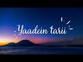Yaadein Teri Mubeen Butt Lyrics Video