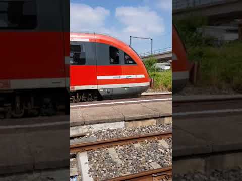 Frieda unterwegs mit der DB Regio RE56😊