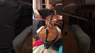 Video thumbnail for Stentor cello by Mark Pilbrow