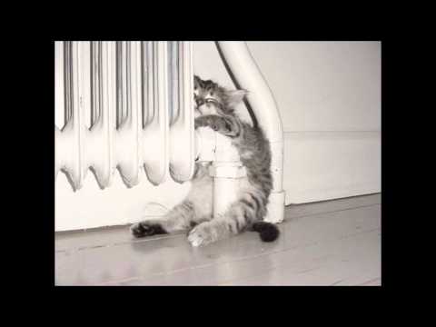 ZZT - ZZafrica (Julio Bashmore remix) / Jacques Greene - These Days (Apparat, RA.326 Podcast)