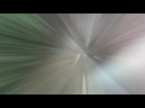 Skunks Are Too Close to Residents in Piscataway, NJ