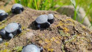 Dárek k nákupu nad 300,- "Želví kouzlo pro štěstí" - orgonitová mini želvička se šungitem a třpytivým pigmentem 