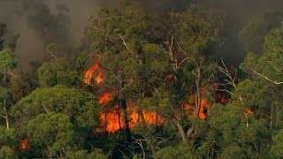 Horrific! Bush Fire Destruction in Australia - Australia with Simon Reeve - BBC