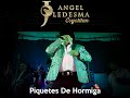 Piquetes De Hormiga - El Coyote "José Angel Ledesma"