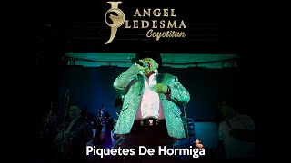 Piquetes De Hormiga - El Coyote José Angel Ledesma