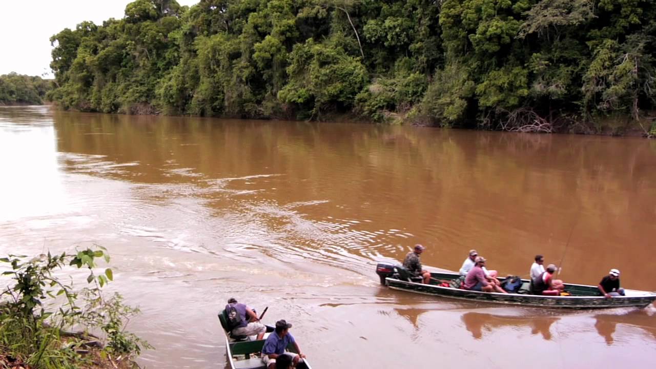 JUNGLE FISH: The Film Trailer