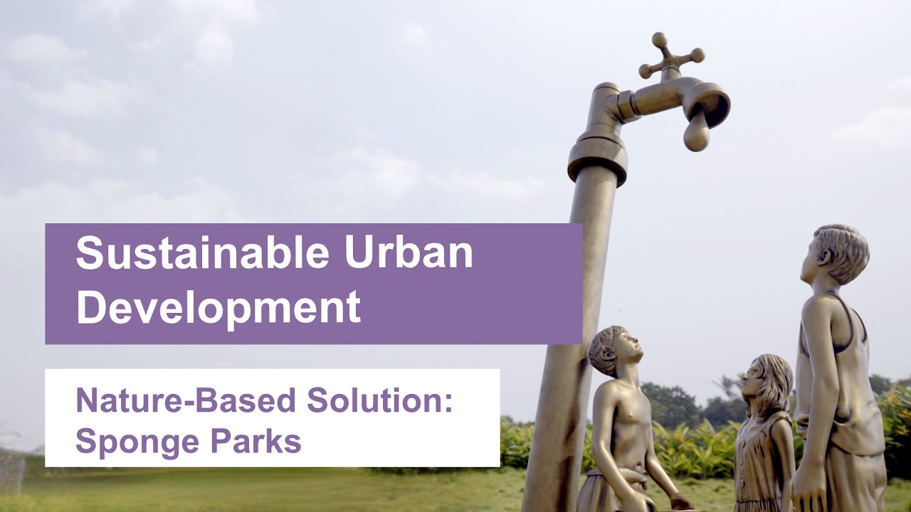 Nature-Based Solutions: Chennai's Sponge Parks