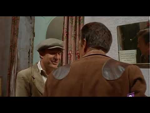 ZAMPA   Una questione d'onore