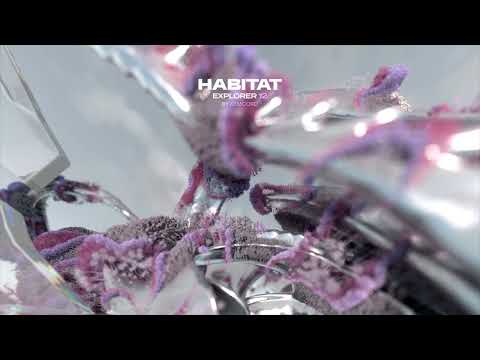 HABITAT EXPLORER 12 performed live by Remcord