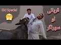 Qurbani Aw Sawdaghar Pashto Funny Eid Video Mamoo Bpv Star