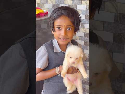 School mudinji vanthale🐶கொஞ்சாம போக மாட்டேன் Puppy🥰🤌|#rubistyle #minivlog #puppy