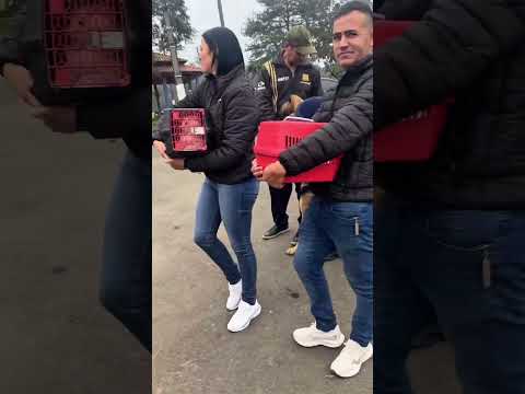 Mutirão de Castração em Canoinhas   SC