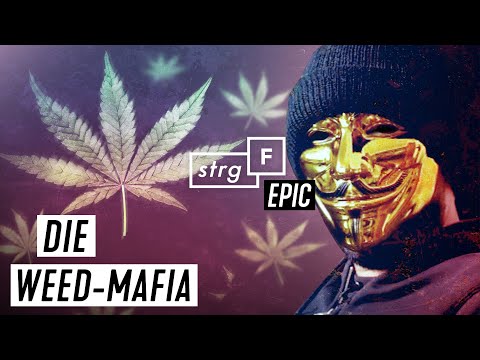 Weed-Mafia: Wie blutig ist der Cannabis-Schwarzmarkt?