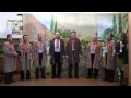 Чоловічий гурт Зорі Українські народні пісні музика Ukrainian folk song music 