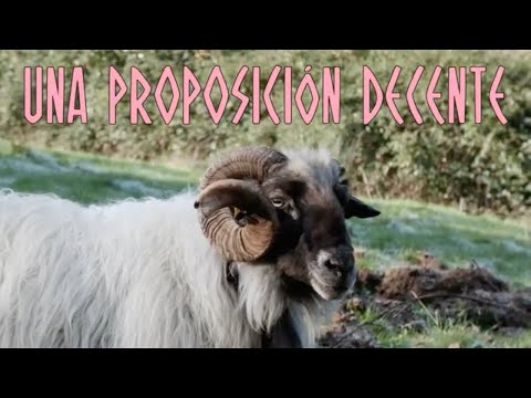 Pablo Und Destruktion/ UNA PROPOSICIÓN DECENTE/ Videoclip