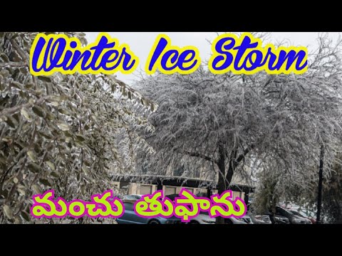 winter ice storm texas 2023 | winter storm in austin