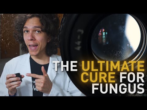 The Ultimate Cure for Fungus In a Camera Lens (THIS VIDEO IS A JOKE)