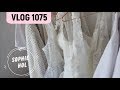 VLOG 1075 | WIE WIL MIJN TROUWJURKEN EN IK BEN DONOR | Sophie Hol | 2018 VLOG 1075 | WIE WIL MIJN TROUWJURKEN EN IK BEN DONOR | Sophie Hol | 2018