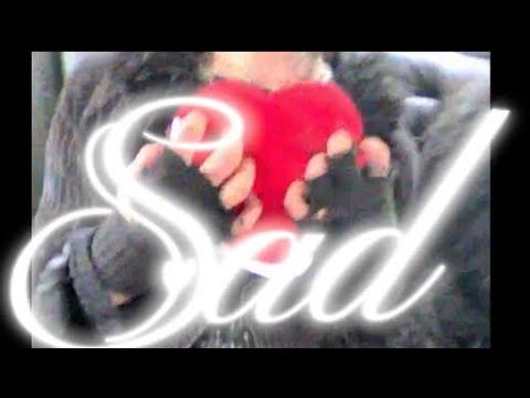 SAD (SAY3AM x NASTEISHA x INSOMNIA) — aesthetic pain in HD