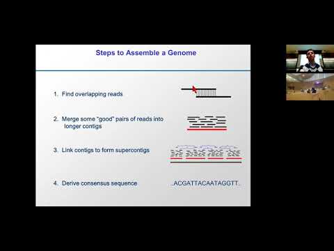 MIT CompBio Lecture 18 - Genome Assembly, Evolution, Duplication
