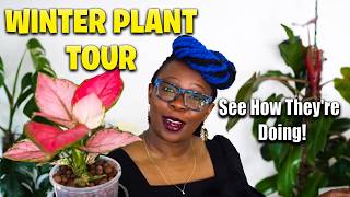 Winter Plant Tour: The Good, The Bad, and The Absolutely SHOCKING!