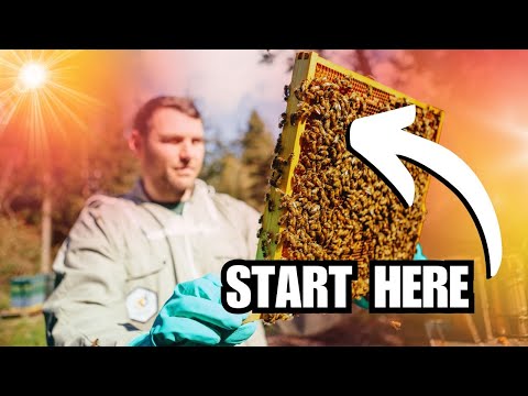 How To Start Beekeeping in 2026 | Simple Steps for New Beekeepers