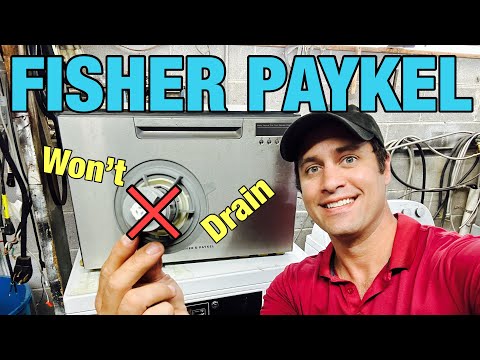 This Fisher PAYKEL Dishwasher Won’t Drain | Quick Rotor Swap | Truck Jibber Jabber | DD24SAX9N