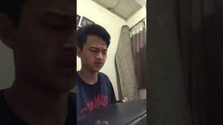 Download lagu Try buying Channa Barca 85,000 at Olshop #channa #snakehead #fish #channafish #aquarium mp3 Download lagu Try buying Channa Barca 85,000 at Olshop #channa #snakehead #fish #channafish #aquarium mp3