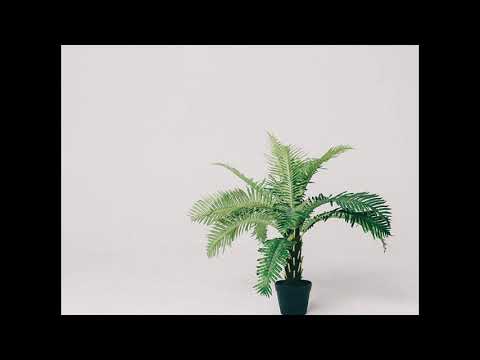 Ten Typ Mes i Kuba Knap - Dzień Zgody Remix (muz. Kevin Nolbert)