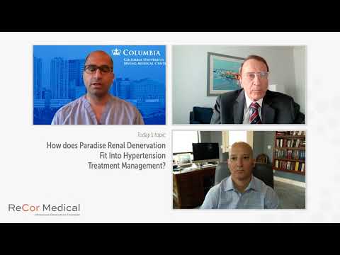 How does Ultrasound Renal Denervation fit into Hypertension treatment?