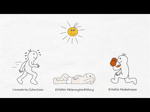 Krankheit ist anders - Sinnvolle Biologische Sonderprogramme (Teil 3)