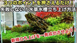 水草水槽の立ち上げで失敗しない３つのポイント セット直後にコケを出したくない 植栽した水草を枯らしたくない 方は必見 Adaネイチャーアクアリウム 立ち上げ初心者 水草レイアウトの作り方 コケ対策 موقع ويب حيث يمكنك مشاهدة مقاطع فيديو موسيقية مجانية