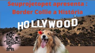 Seu PROJETOPET Apresenta : Border Collie a História