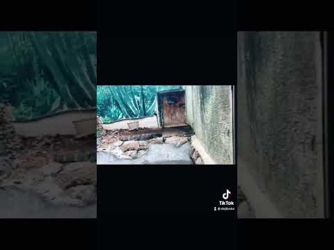 What the zoological garden looks like in Ibadan