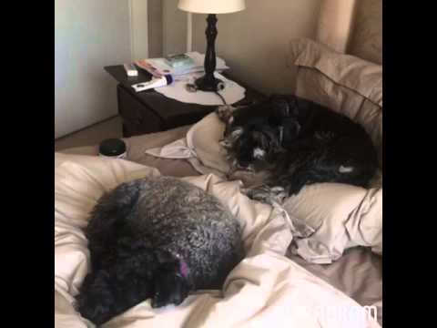 download lagu mp3 mp4 Olivia Cassel, download mp3 Olivia Cassel free downloadn, video klip Olivia Cassel